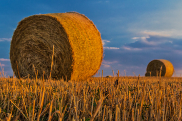 Pożyczki hipoteczne dla rolników bez BIK