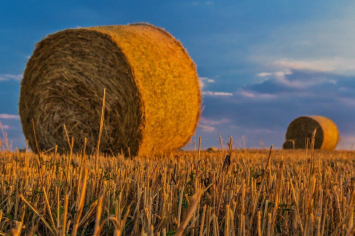 Pożyczka hipoteczna bez BIK dla rolników pod grunty rolne