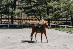 Topowa odzież jeździecka | Aniamlia