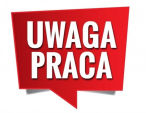 Praca ZDALNA dla Każdego / Przez Internet / Bez Doświadczenia / Umowa