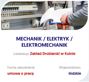 Mechanik/Elektromechanik