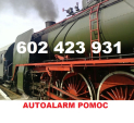 MOBILNY MECHANIK ANIN 602 423 931