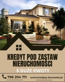 KREDYT POD ZABEZPIECZENIE NIERUCHOMOŚCI DLA FIRM – WYSOKIE KWOTY.