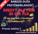 Kredyt dla FIRM 80 000 PLN ze stratą/z brakiem zdolności.